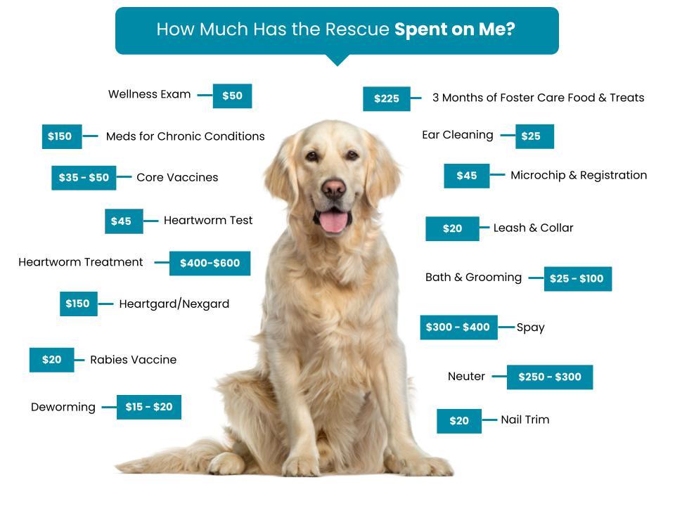 Safe Haven Humane Society Fee Graphic