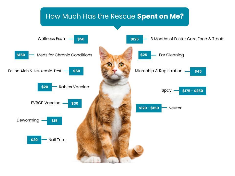 Safe Haven Humane Society Fee Graphic copy