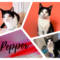 Pepper