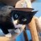 Tex