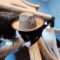 Tex