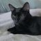 Jacky Binx